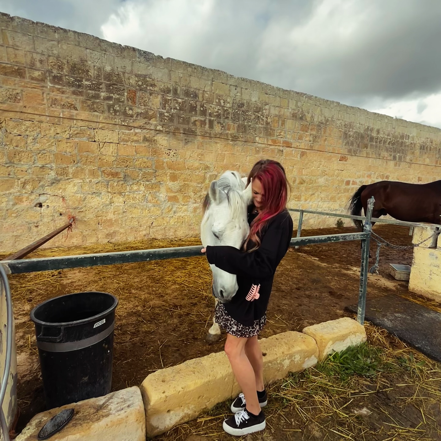 A lil horse 🐎 love #horseloversofinstagram #horsemalta