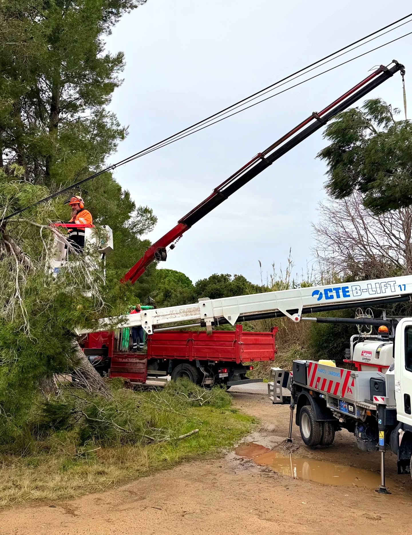 🚧 ACTUACIONS DE LES BRIGADES DE NOSTRESERVEIS DESPRÉS DEL TEMPORAL
El personal de les brigades de Nostreserveis es troba treballant intensament durant aquests dies en les tasques de neteja i retirada dels arbres caiguts, així com en la rehabilitació i millora dels accessos als camins municipals que han patit desperfectes considerables a conseqüència del temporal meteorològic registrat durant el cap de setmana.
-
🚧 ACTUACIONES DE LAS BRIGADAS DE NOSTRESERVEIS TRAS EL TEMPORAL
El personal de las brigadas de Nostreserveis se encuentra trabajando intensamente durante estos días en las tareas de limpieza y retirada de los árboles caídos, así como en la rehabilitación y mejora de los accesos a los caminos municipales que han sufrido desperfectos considerables como consecuencia del temporal meteorológico registrado durante el fin de semana.
#nostreseeveis #montroigdelcamp #miamiplatja